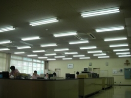 LED照明の販売代理店のサービス写真