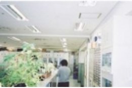 スパークワンセイバー_case2