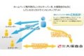 アルファメール_thum4