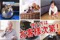 クラウド安心カメラ（首振り機能付き）_thum2