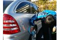 ＭＳＢ水なし洗車ビジネス_thum2