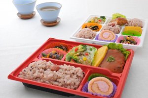 法人向け宅配弁当「やどかり弁当」_item1