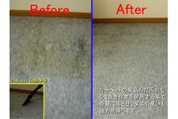 イオンウォッシュ出張洗浄サービス_model1