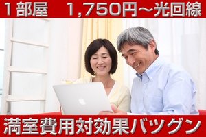 アパートマンションビル本物最大1Ｇwifiネット無料物件化_item5