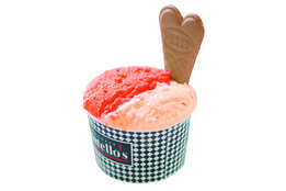 ジェラートカフェ「ドナテロウズ」_model1