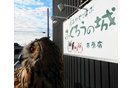 ふくろうカフェ「ふくろうの城」