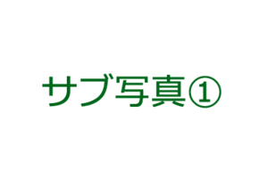 ブランド名が入ります。_item2