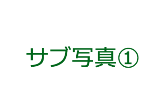 ブランド名が入ります。_item2