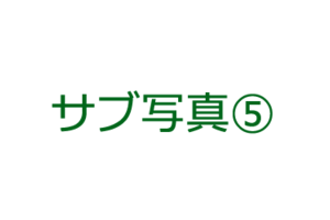 ブランド名が入ります。_item6