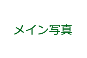 ブランド名が入ります。_item1