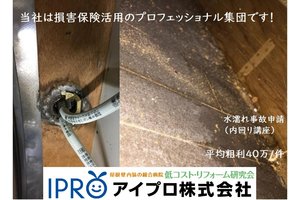 究極の損害保険活用講座「アイプロ」_item1