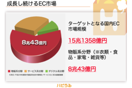 収益保証・利益確約型ネット販売「ハピうる」_case1