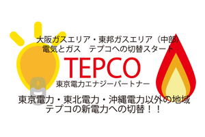 テプコ東京電力エナジーパートナー_item1