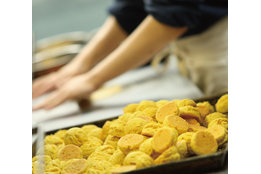 融資の窓口_model1