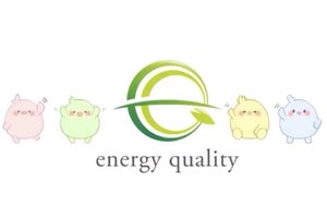 蓄電池＋太陽光の専門店_item4
