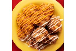 人は唐揚げに熱狂する。_model2