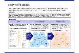 BulkUp Consulting, K.K._case2