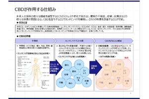 BulkUp Consulting, K.K._item5