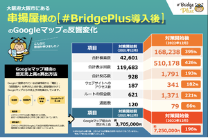 #Bridge Plus_item4