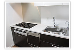 おそうじプロ_model1