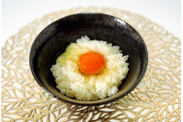 幻の卵屋さん_model1