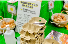 幻の卵屋さん_model2