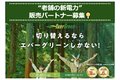 エバーグリーン・マーケティング株式会社_thum1