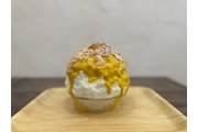 天然氷のかき氷屋さんを始めませんか？天然氷のかき氷で夏の売上大幅アップ！