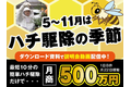 ハチ駆除で月商500万円も！※1日8件/月22日