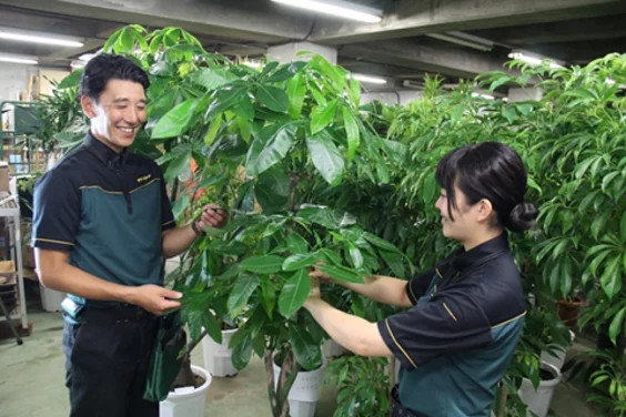 【平均継続期間9.5年？！】観葉植物レンタル事業_item3