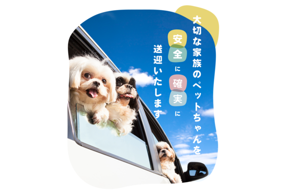 ペットタクシー COCOタク_item3