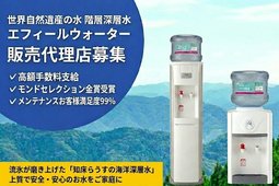 大丸工エナウィンB1