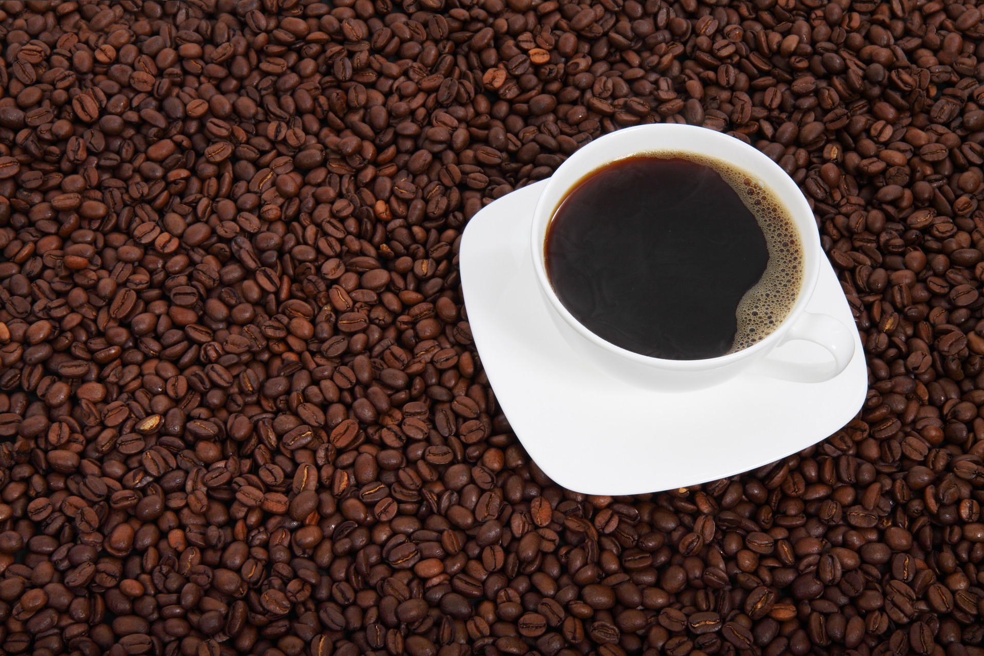 カフェ独立開業時 コーヒーにどこまでこだわるか ビジェントプラス